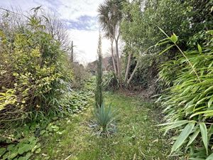 Garden- click for photo gallery